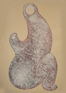 formas.jpg (11774 bytes)